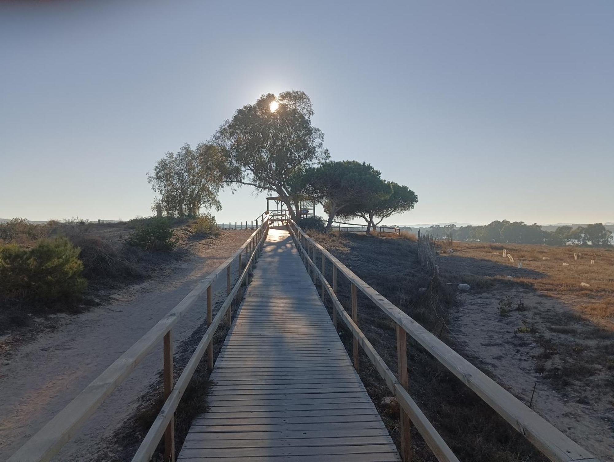 Bonito Apartamento 150 M De La Playa La Mata La Mata  Esterno foto