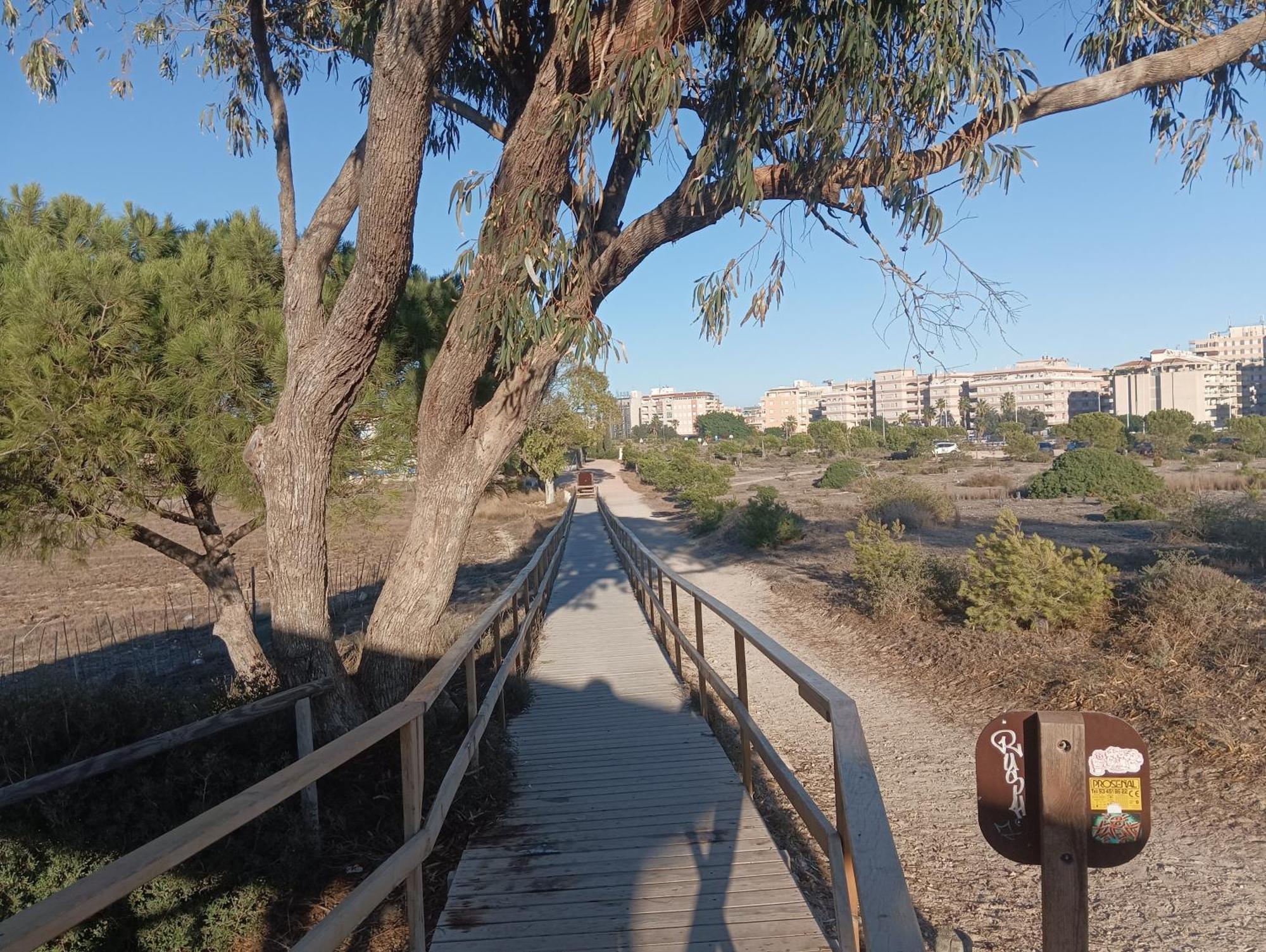 Bonito Apartamento 150 M De La Playa La Mata La Mata  Esterno foto