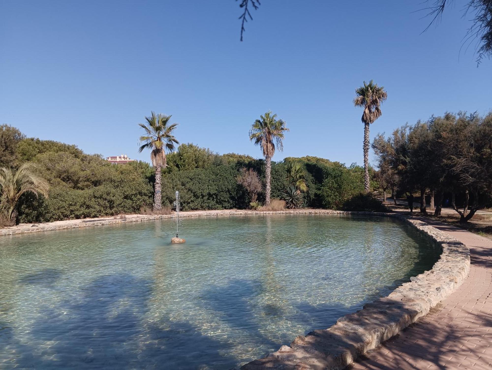 Bonito Apartamento 150 M De La Playa La Mata La Mata  Esterno foto