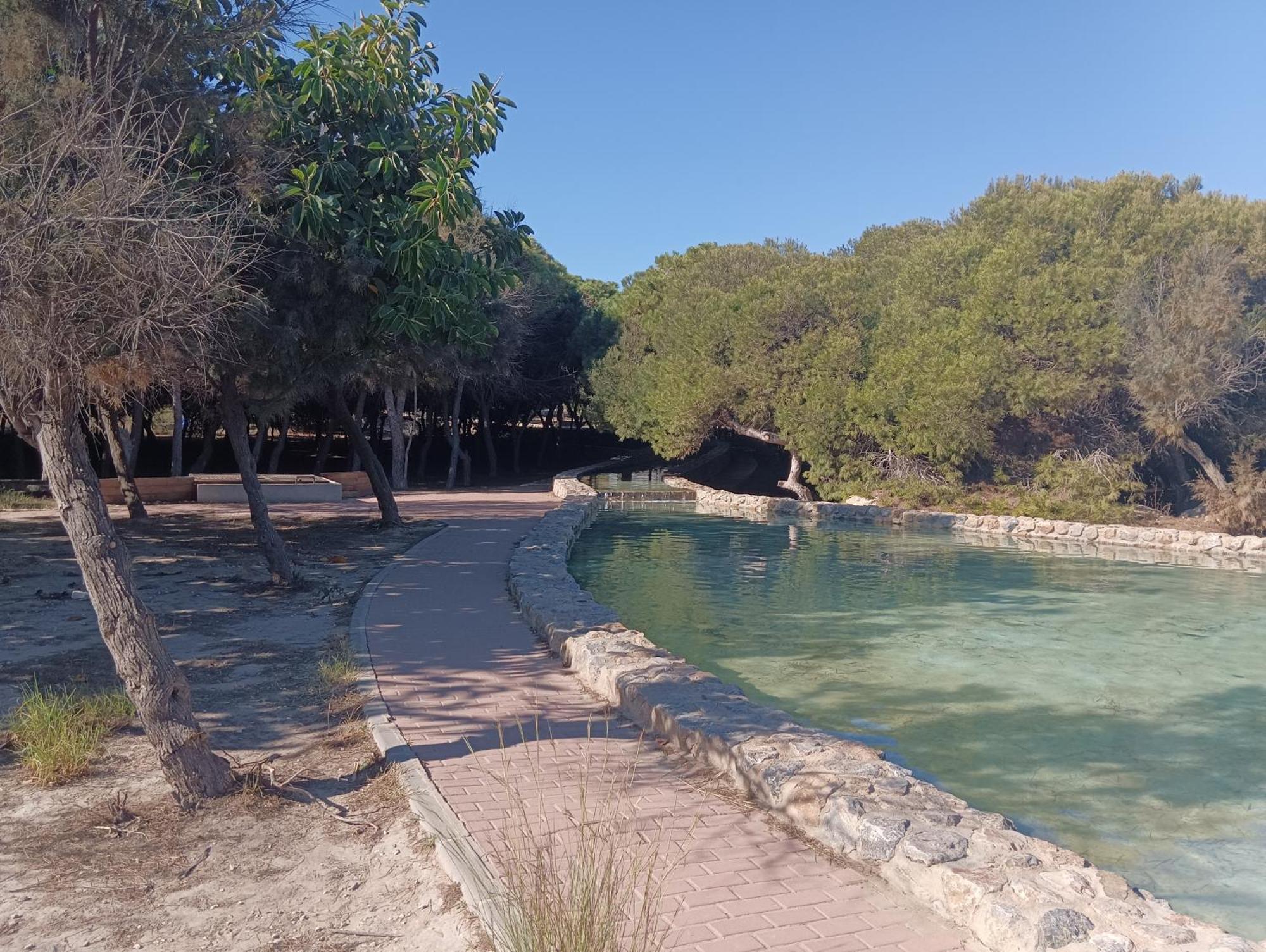 Bonito Apartamento 150 M De La Playa La Mata La Mata  Esterno foto
